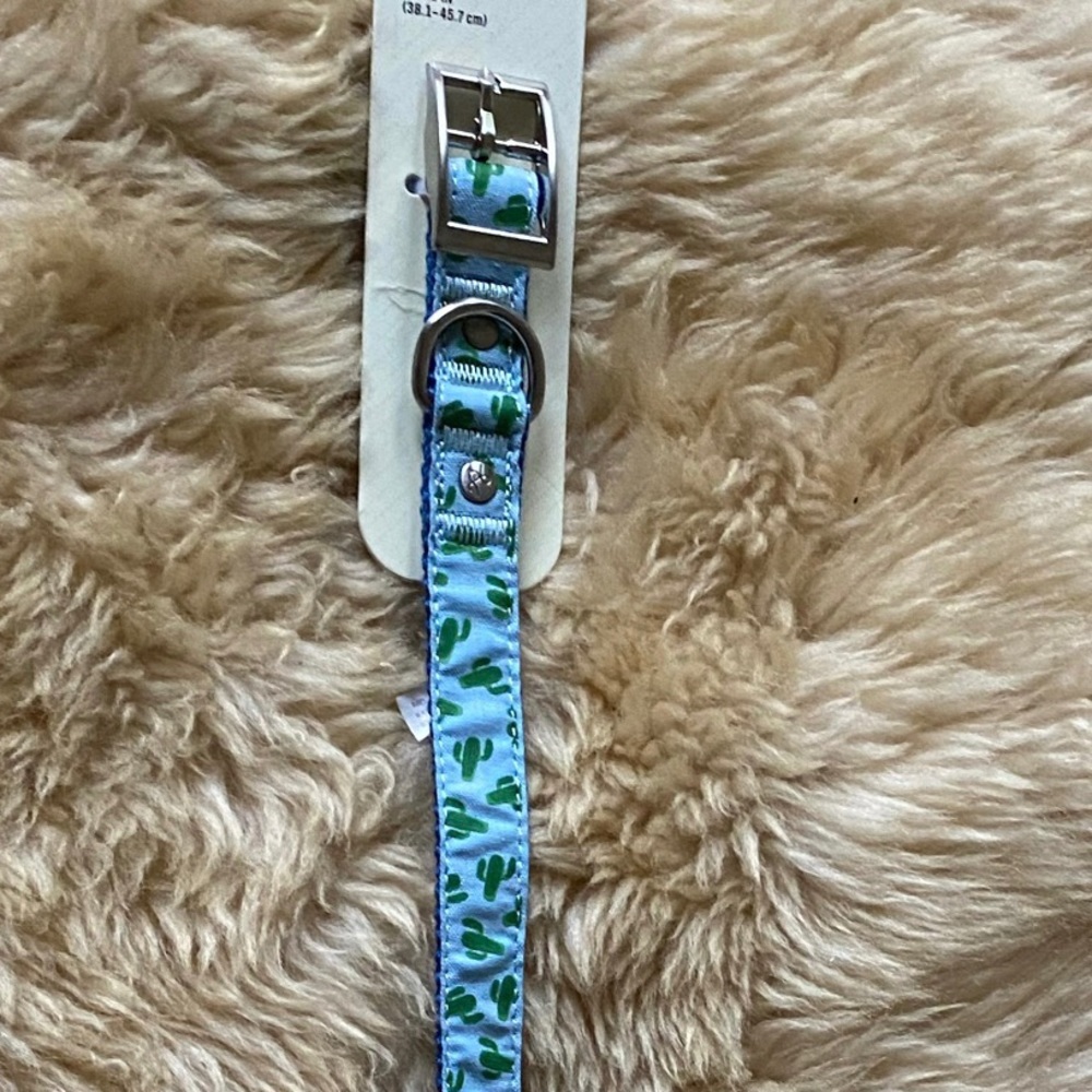 NWT Cactus Dog Collar - Medium 15-18 inches